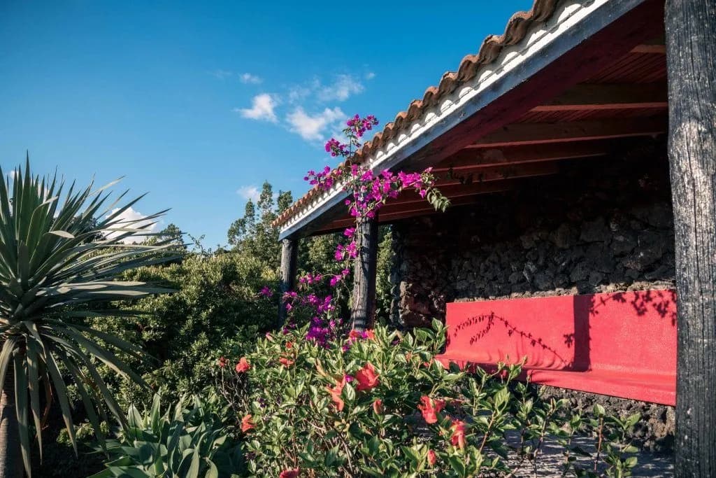 Manicured garden paths with native Azorean plants
