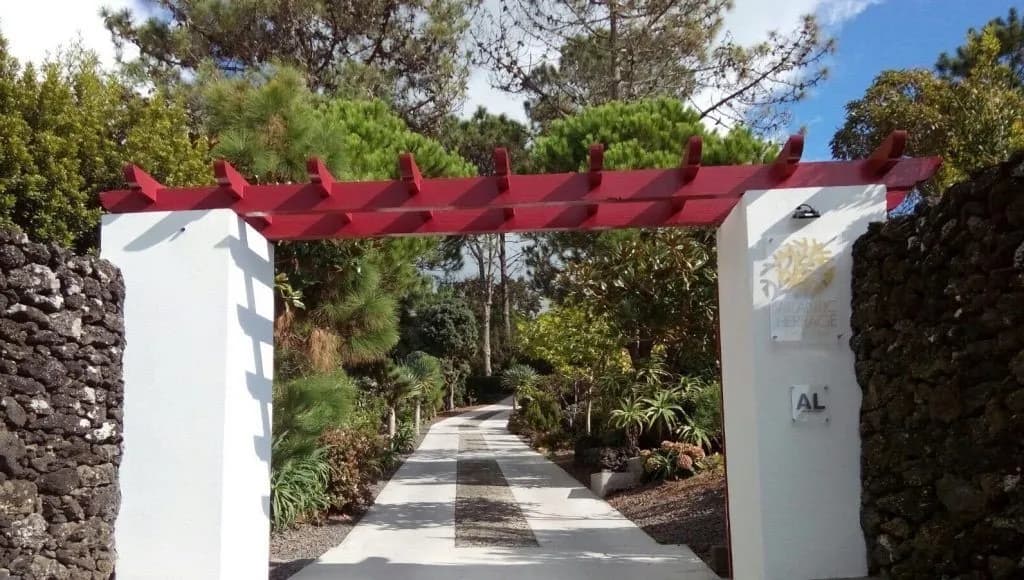 Tropical vegetation and flowering plants in the property grounds